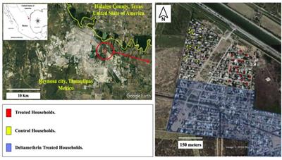 Estimating Contact Rates Between Metarhizium anisopliae–Exposed Males With Female Aedes aegypti